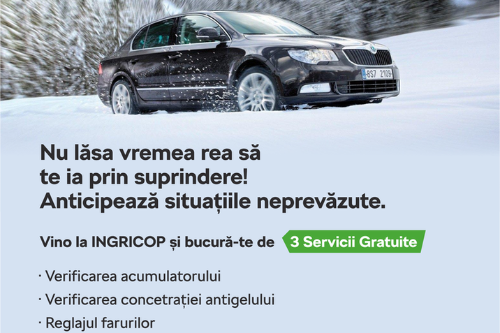 3 servicii