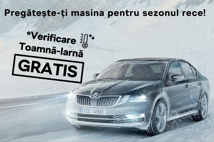 verificare toamna-iarna