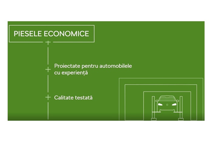 PEconomice